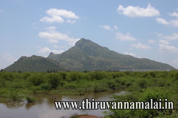Thiruvannamalai mountain