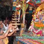 navarathri Festival 2018 day 2 pics