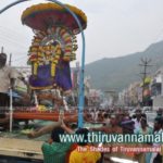 karthigai Deepam Festival day 3 photo gallery