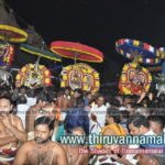 Karthigai Deepam Festival Day 3 Night Photogallery