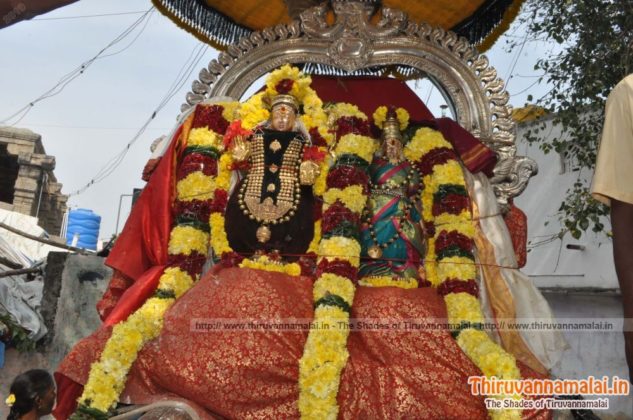 Uthrayanakala theerthavari pic 2019