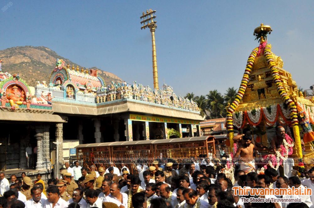 thanga ratham in aruncahaleswarar temple
