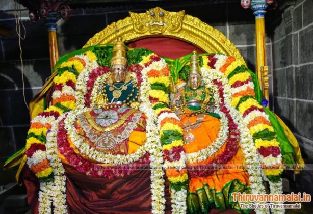 tiruvannamalai aani brahmotsavam 2019