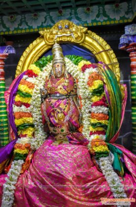 tiruvannamalai aani brahmotsavam 2019