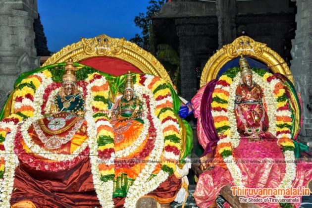 tiruvannamalai aani brahmotsavam 2019