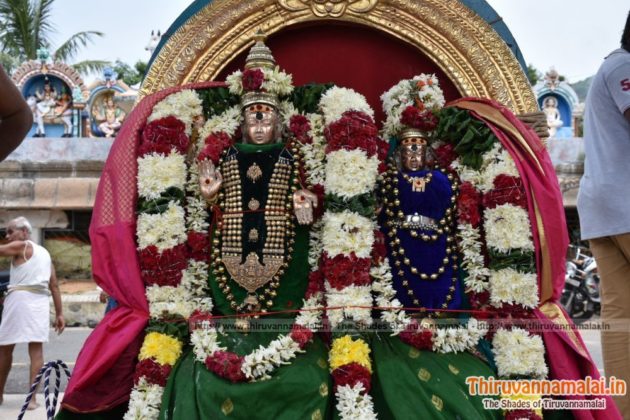 arunachaleswarar temple aani brahmotsavam 2019