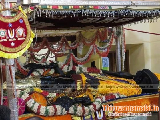 athi varadar live kanchipuram pics