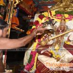 lord saraswathi alangaram 0 navratri festival 2019