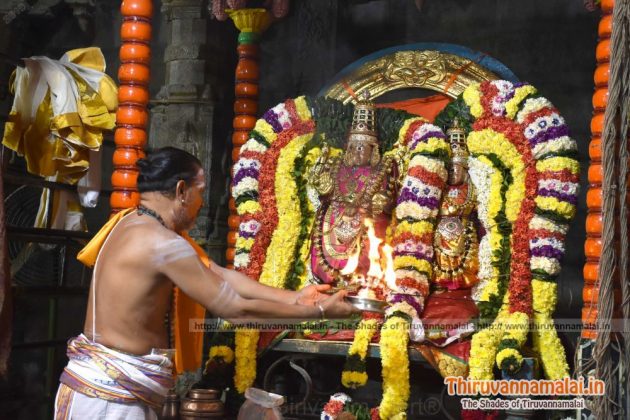 deepa aarathi for arunachaleswarar in karthigai deepam