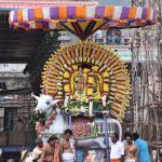 annamalaiyar in rishba vahanam in deepam festival day 5