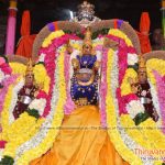 subramaniyar - lord murugar in tiruvannamalai festival
