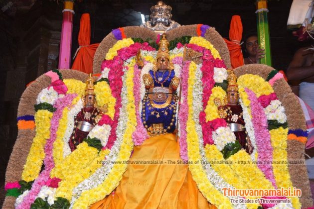 subramaniyar - lord murugar in tiruvannamalai festival