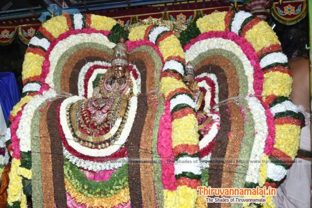 lord arunachaleswarar deepam festival day 5