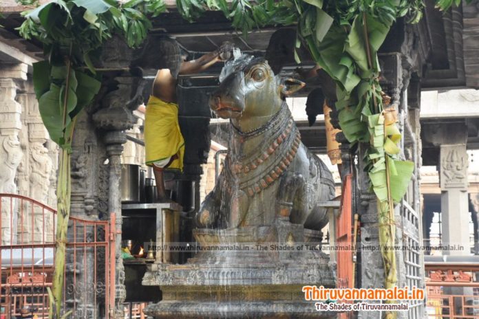 Valarpirai Sani Pradosham - Thiruvannamalai.in