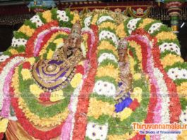 Karthigai Deepam Festival - Day 3