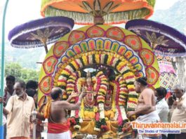 karthigai deepam festival day 8 pics