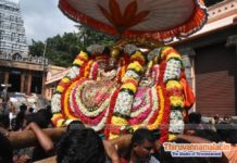 Swamy Girivalam 2021 – Karthigai Deepam Festival swamy girivalam - tiruvannamalai