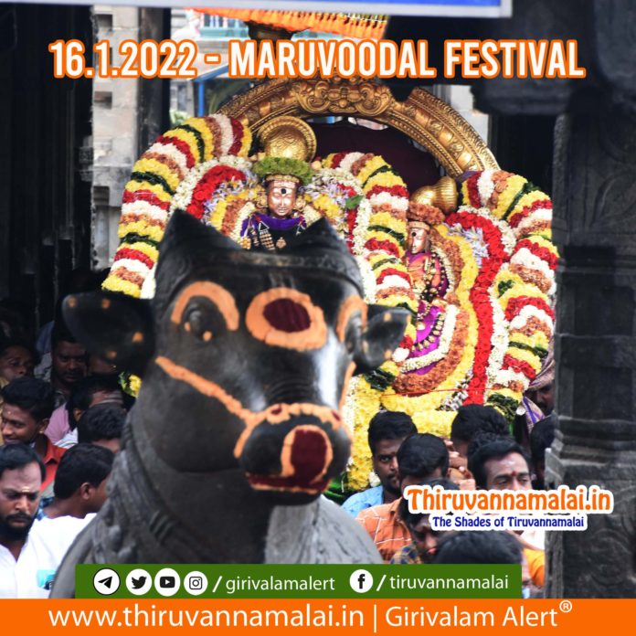 maruvoodal festival 2022 - tiruvannamalai