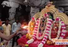 Chithirai Krithigai 2022 krithigai deepa aarthi