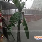 heavy rain in tiruvannamalai
