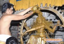 Aani Thirumanjanum – 2022 natarajar abishekam tiruvannamalai