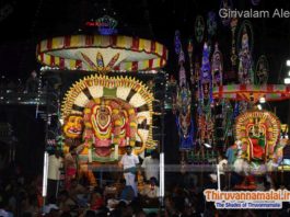 karthigai deepam festival simha vahanam