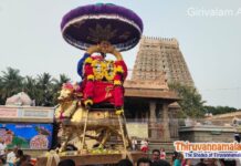 Masi Pournami Pradosham 2024 pradosham 2024