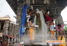 Aani Pournami Pradosham 2024 tiruvannamalai pradoham 2024