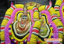 Karthigai Deepam Festival 2024 Highlights