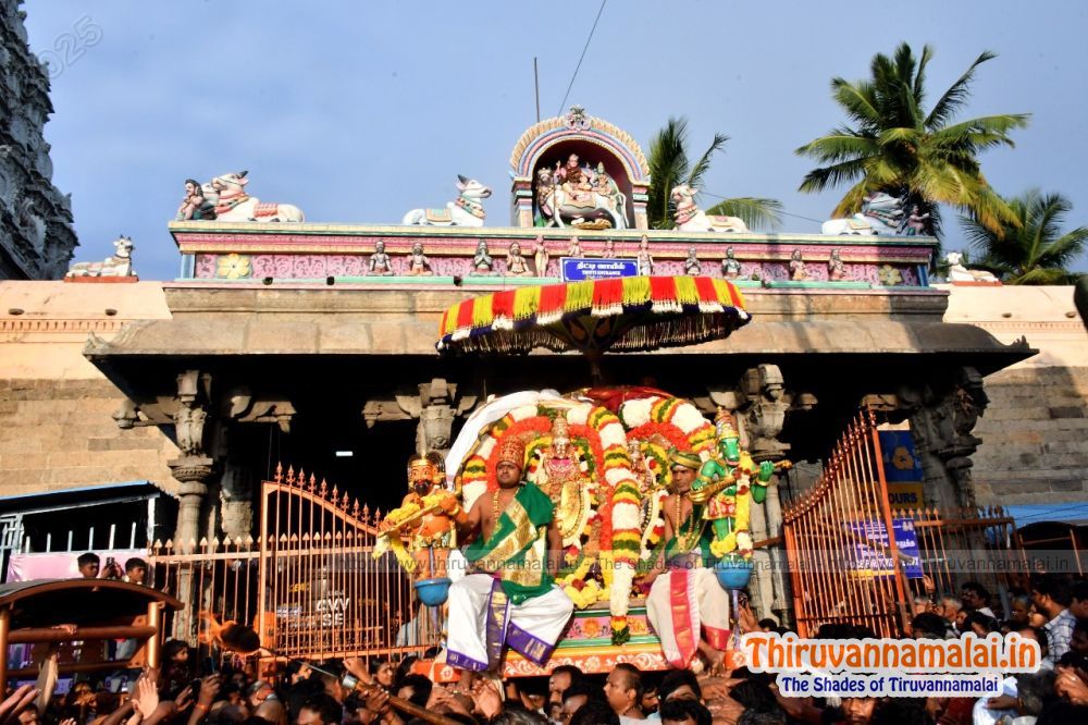 tiruvannamalai temple festival 2025