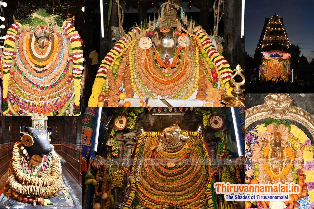 nandhi devar alangaram 2025 - tiruvannamalai