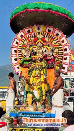 tiruvannamalai Vaikunda Ekadeshi 2025