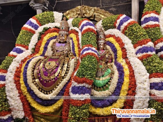 annamalaiyar alangaram deepam 2025