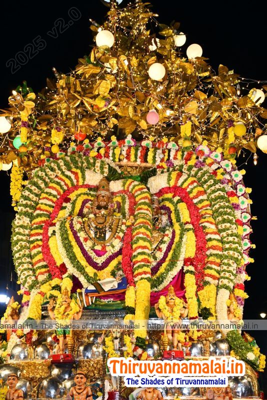 Karpagavricham - tiruvannamalai karthigai deepam festival 2025