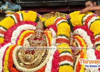 Karthigai Deepam Festival Day 5 – 2025 deepam live 2025