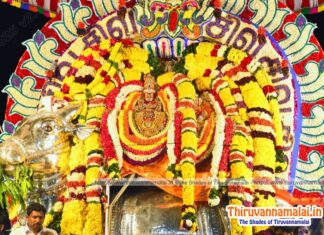 Tiruvannamalai Karthigai Deepam Festival 2025 – Day 6 deepam festival 2025