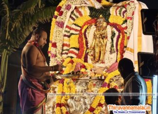 Tiruvannamalai Karthigai Deepam Festival Day 8 – 2025 pichandavar utsavam tiruvannamalai