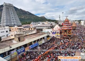 Tiruvannamalai Maharatham Karthigai Deepam Day 7 – 2025 mahartahm 2025